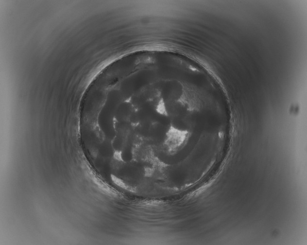 X0000111120837200907211048