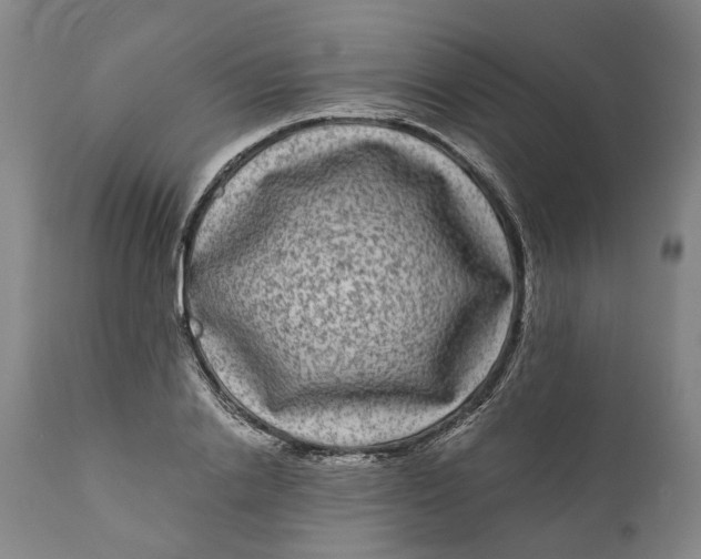 X0000111120838200907211048