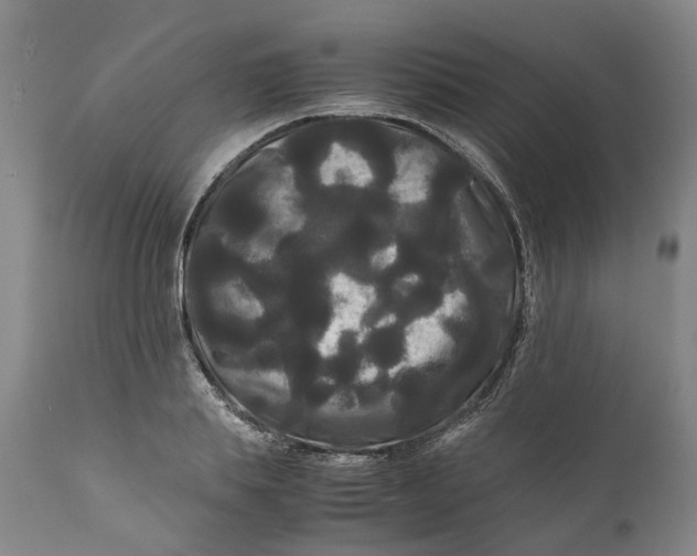 X0000111120839200907211048