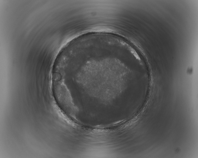 X0000111120840200907211048