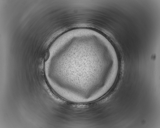 X0000111120841200907211048