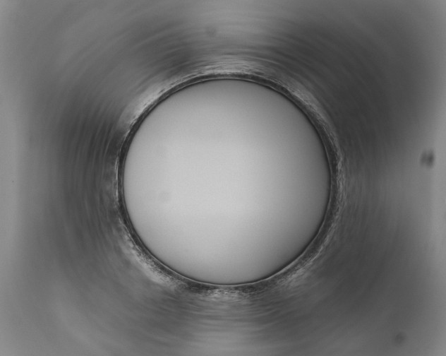 X0000111120842200907211048