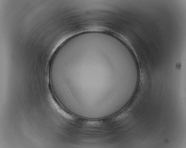 X0000111120843200907211048