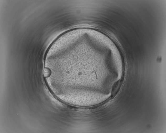 X0000111120844200907211048