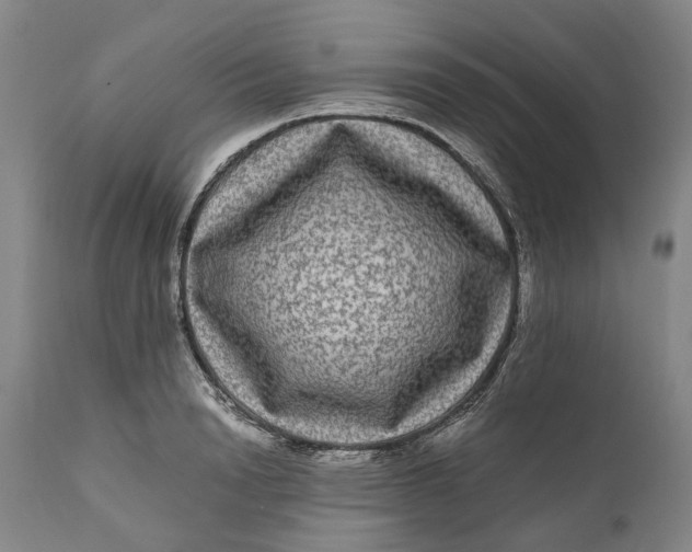 X0000111120846200907211048