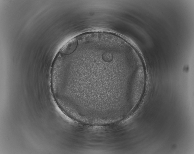 X0000111120847200907211048