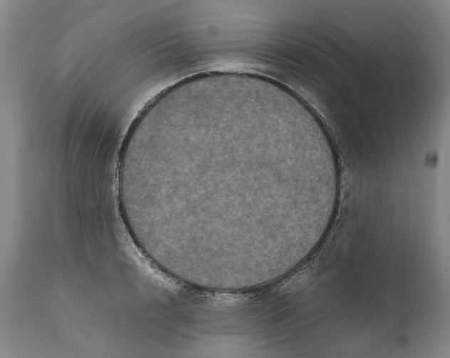 X0000111120848200907211048