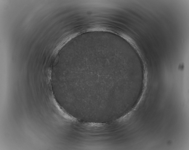 X0000111120849200907211048