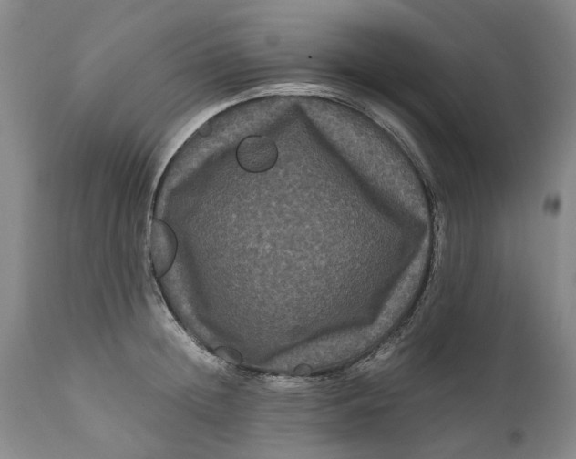 X0000111120852200907211048