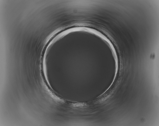 X0000111120853200907211048