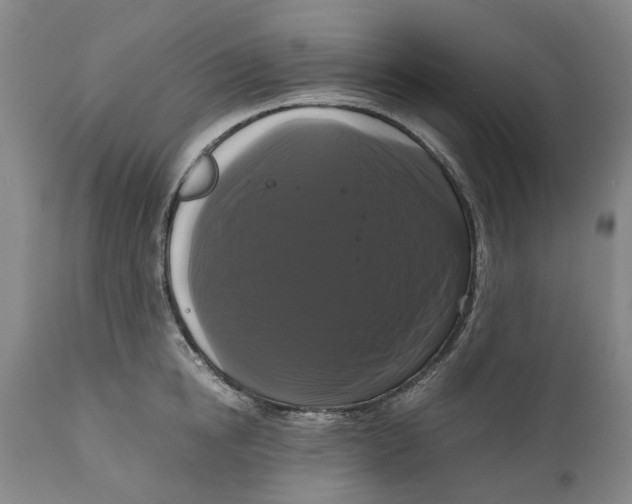 X0000111120854200907211048