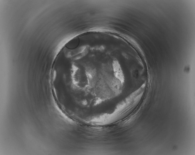 X0000111120855200907211048