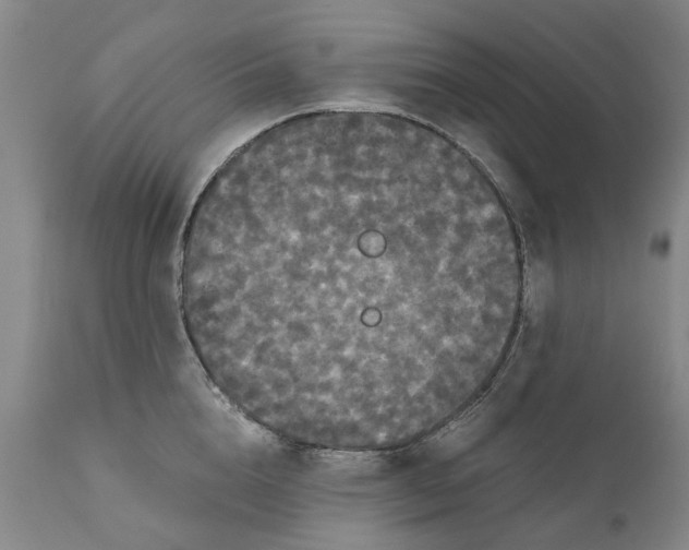 X0000111120856200907211048