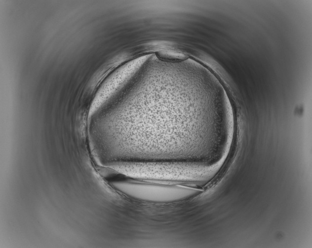 X0000111120857200907211048