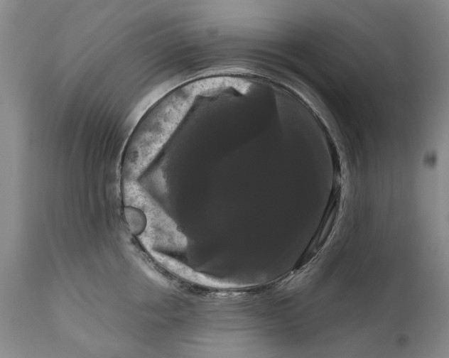 X0000111120858200907211048