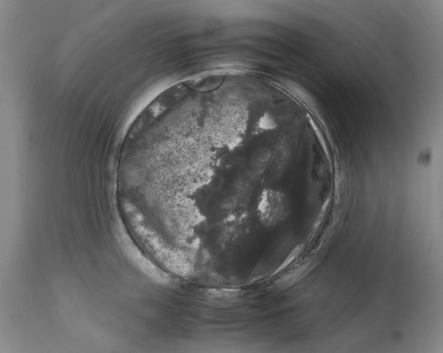 X0000111120859200907211048