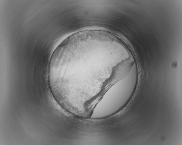 X0000111120860200907211049