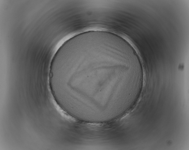 X0000111120861200907211049