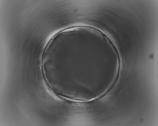 X0000111120862200907211049