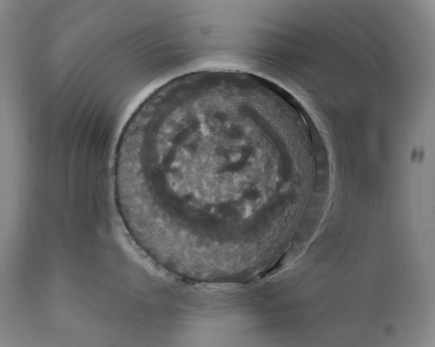 X0000111120864200907211049