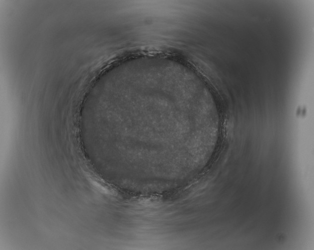 X0000111120865200907211048