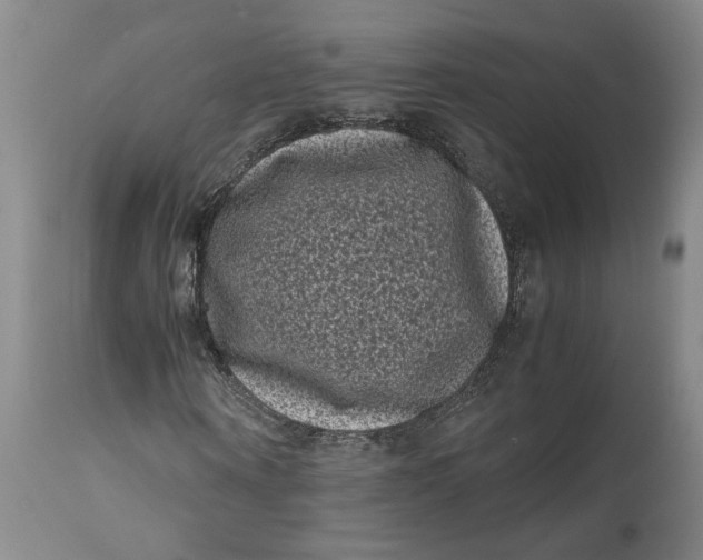 X0000111120866200907211048