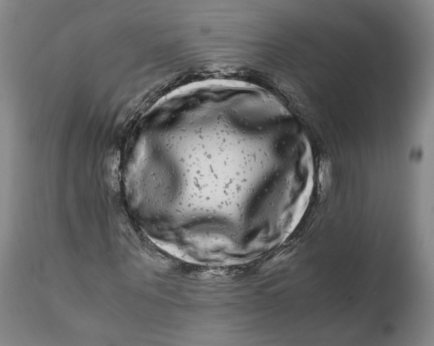 X0000111120867200907211048