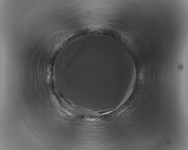 X0000111120868200907211048