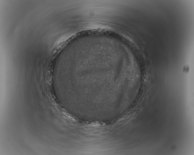 X0000111120869200907211048