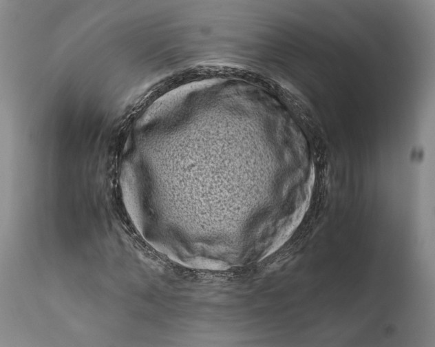 X0000111120870200907211048