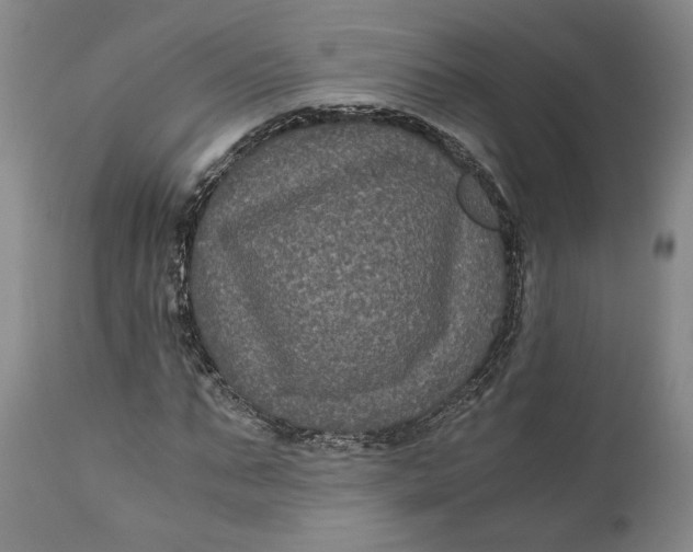 X0000111120871200907211048