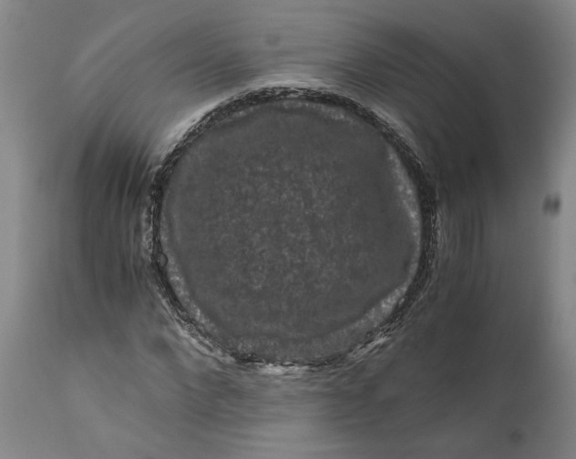 X0000111120872200907211048