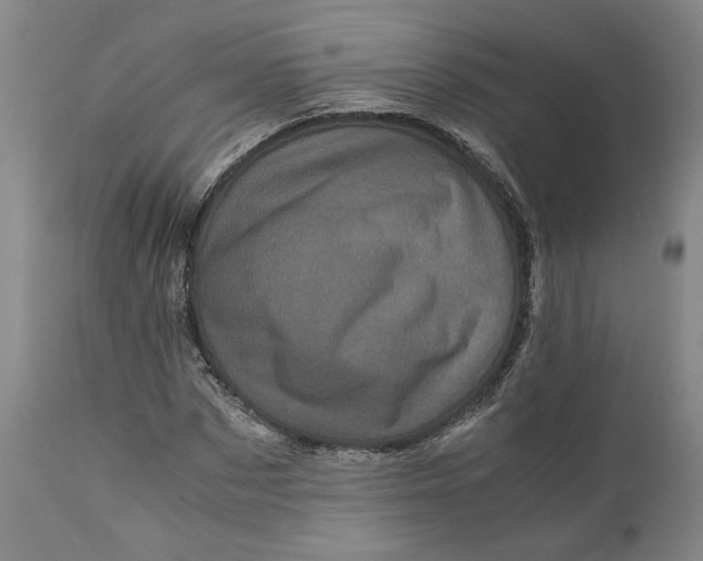 X0000111120873200907211048