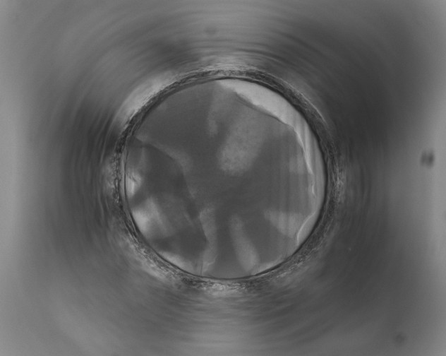 X0000111120874200907211048