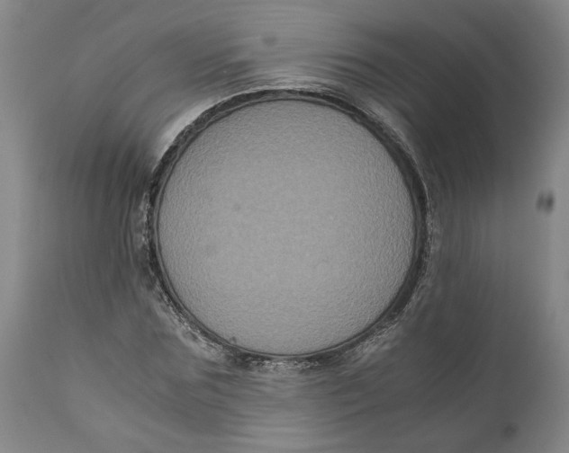 X0000111120875200907211048