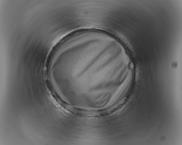 X0000111120876200907211048