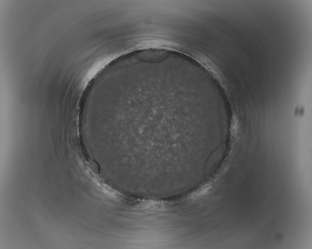 X0000111120877200907211048