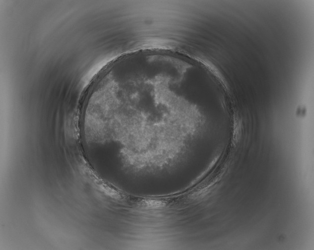 X0000111120878200907211048