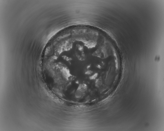 X0000111120879200907211048