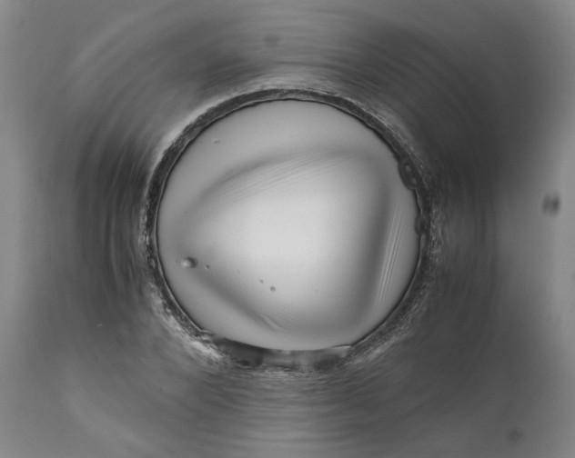 X0000111120880200907211048