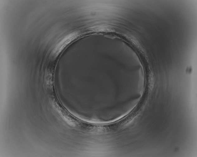 X0000111120881200907211048