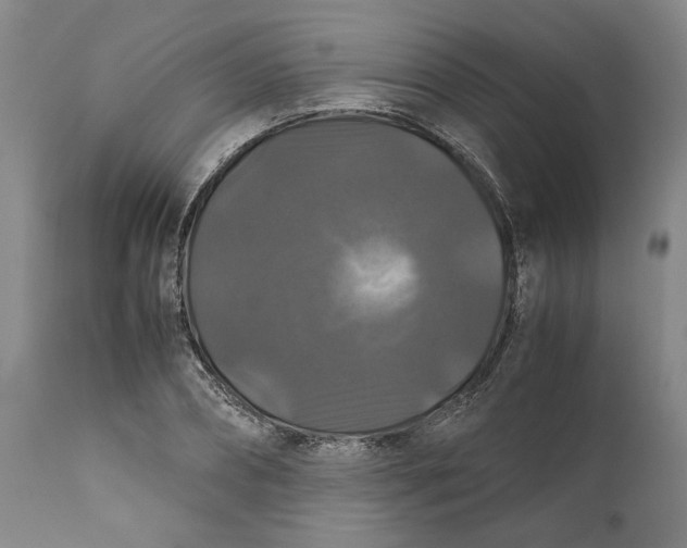 X0000111120882200907211048