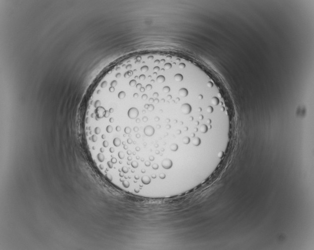 X0000111120883200907211048