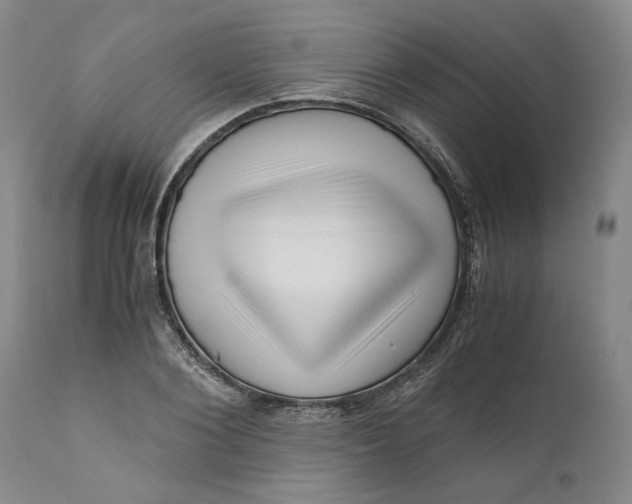 X0000111120884200907211048