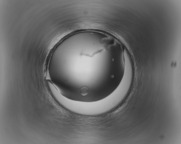 X0000111120885200907211048