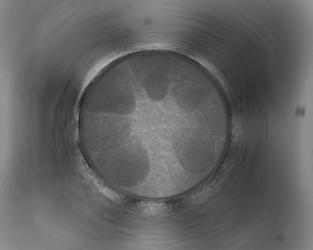 X0000111120886200907211048