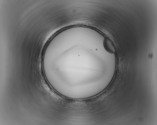 X0000111120888200907211048