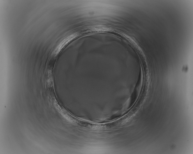 X0000111120889200907211048