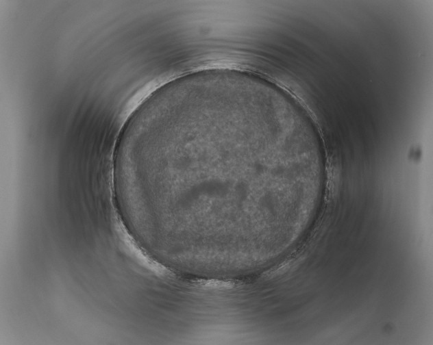 X0000111120890200907211048