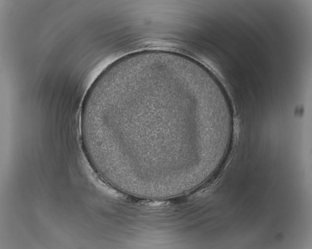 X0000111120891200907211047